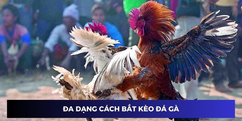 Đa dạng cách bắt kèo đá gà